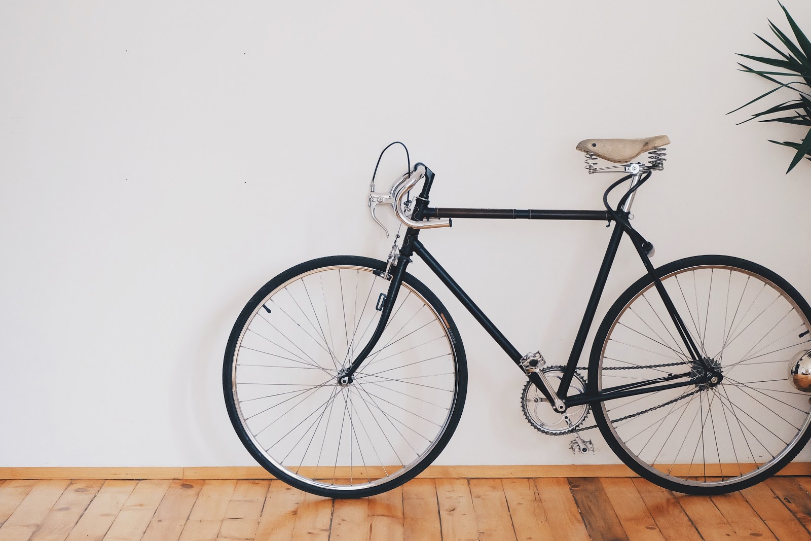 Bicycle - Photo by freestocks.org from Pexels 